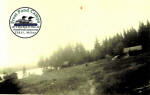 Frost Pond Early