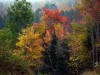 Fall 07