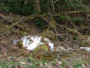 Last snow of 07