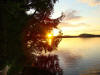 Sun on Pond.jpg